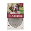 Advantix spot on 10-25 kg közötti kutyáknak A.U.V. 1 x 2,5 ml