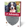 Advantix spot on 40-60 kg közötti kutyáknak A.U.V. 24 x 6 ml