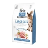 Brit Care Cat Grain Free Adult Large Cats macskatáp 2kg
