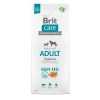 Brit Care Dog Grain-free Adult lazac, burgonya 12kg