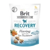 Brit Functional Snack Recovery Herring jutalomfalat 150g