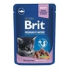 Brit Premium Cat Kitten White Fish 100g