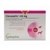 Clavaseptin 250 mg ízesített tabletta 100x
