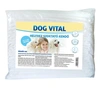 Dog Vital helyhez szoktató pelenka 60x60cm 25+5db/csomag