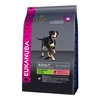 Eukanuba Adult Small & Medium Salmon & Barley kutyatáp 2,5kg