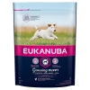 Eukanuba Puppy Small kutyatáp 1kg
