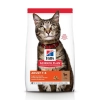 Hills Science Plan Feline Adult Lamb & Rice 1,5kg