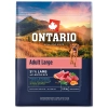 Ontario Adult Large Bárány&Barna Rizs 2,25kg