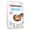 Ontario Cat Kitten Lazac 2kg