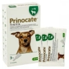 Prinocate 0,4 ml kutya 4kg 3x