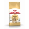 Royal Canin Bengal Adult 10kg-Bengáli felnőtt macska száraz táp