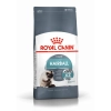 Royal Canin Hairball Care 400g-száraz táp felnőtt macskáknak a szőrlabdák könnyebb eltávozásáért