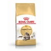 Royal Canin Maine Coon Adult 2kg-Maine Coon felnőtt macska száraz táp