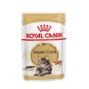 Royal Canin Maine Coon Adult 85g - Maine Coon felnőtt macska nedves táp