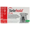 Selehold 120 mg 10,1-20 kg kutyáknak 1 ml 3x