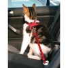 Trixie Biztonsági Öv Macskának 20-50cm/15mm,piros