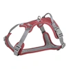 .Hám Premium Active M: 49–69 cm/20 mm, Bordó