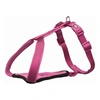 Trixie Hám Y Premium L 75–95cm/25mm Orchidea