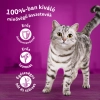 Whiskas alutasak 12-pack Pure deligt Húsos Halas Aszpikban 12x85g