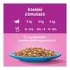 Whiskas alutasak Multipack halas válogatás aszpikban 12x85g