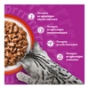Whiskas alutasak Multipack klasszikus válogatás 24x85g