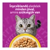 Whiskas alutasak Multipack szárnyas válogatás mártásban 4x85g