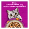Whiskas alutasak Multipack Tasty Mix Country 24x85g