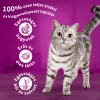 Whiskas száraz macskaeledel tonhallal 1,4kg