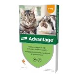 Advantage rácsepegteto oldat kistestu macskáknak és nyulaknak AUV 1 x 0,4 ml