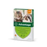Advantage rácsepegteto oldat kistestu macskáknak és nyulaknak A.U.V. 4 x 0,4 ml