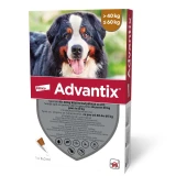 Advantix 600 6 ml 40-60 kg 4x