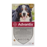 Advantix spot on 40-60 kg közötti kutyáknak AUV 4 x 6 ml