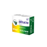 Amylactiv Digest kapszula 30X