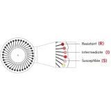 Bioguard miniAST Általános Panel 2 (5 db/boboz)