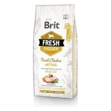 Brit Fresh Chicken with Potato Adult Great Life kutyatáp 12 kg