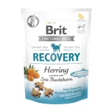 Brit Functional Snack Recovery Herring jutalomfalat 150g