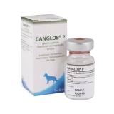 Canglob P injekció 6 ml