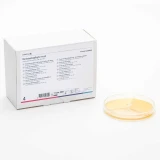 Dermatofita teszt, gomba tenyésztési teszt, petri csésze, DTM / ESA / SAB