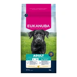 Eukanuba Adult Large kutyatáp 3kg