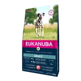 Eukanuba Adult Large Salmon & Barley kutyatáp 2,5kg