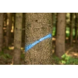 Forst Neon erdészeti jelölőfesték neon kék 500 ml