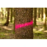 Forst Neon erdészeti jelölőfesték neon rózsaszín 500 ml