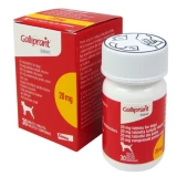 Galliprant 20 mg tabletta kutyák részére 30x