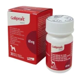 Galliprant 60 mg tabletta kutyák részére 30x