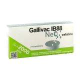 Gallivac Ib-88 NEO vakcina 2000 adag