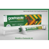 Gastazole 370 mg/g belsőleges paszta lovak számára 1x7,57g