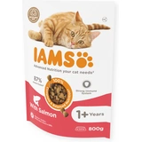 -Iams Cat Adult Salmon 800gr