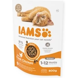-Iams Cat Kitten csirke 800gr