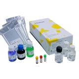 IBR-gB ELISA 192