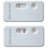 IDEXX Angio teszt 20 db